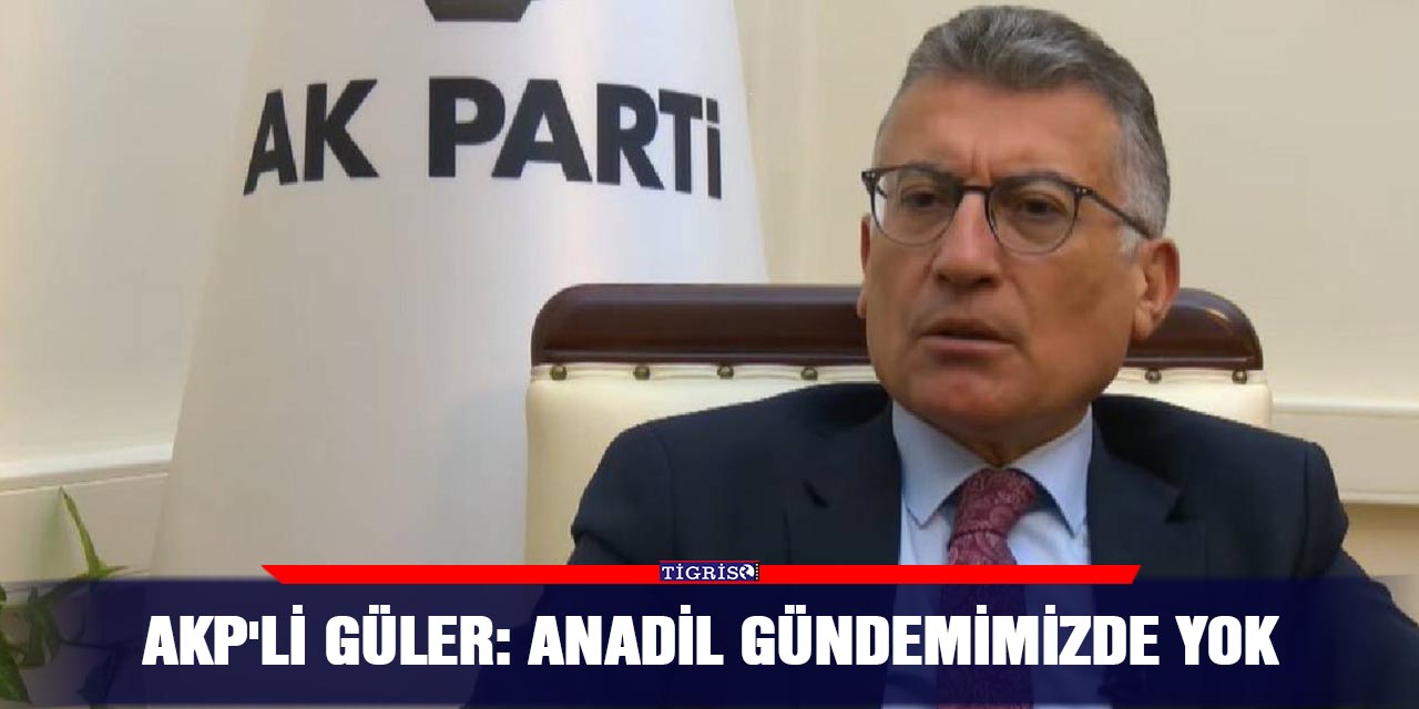 AKP'li Güler: Anadil gündemimizde yok