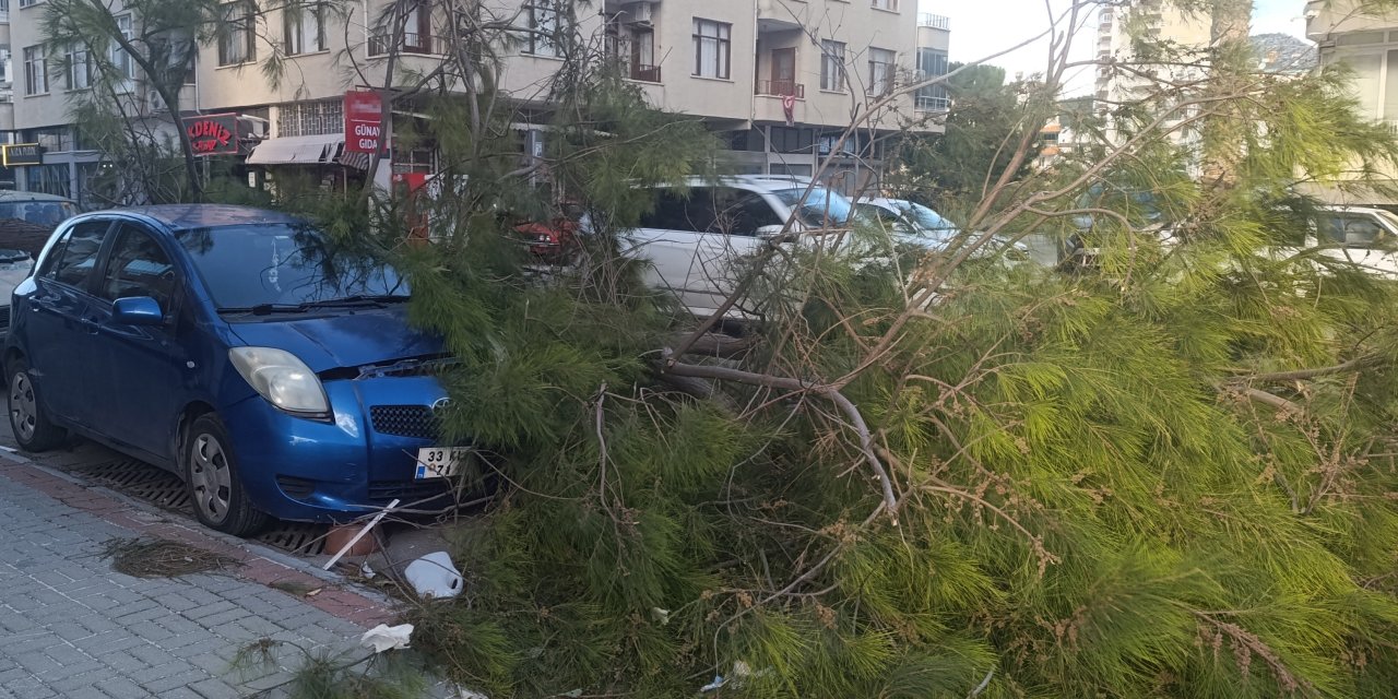 Fırtına ağaçları devirdi, araçlar zarar gördü