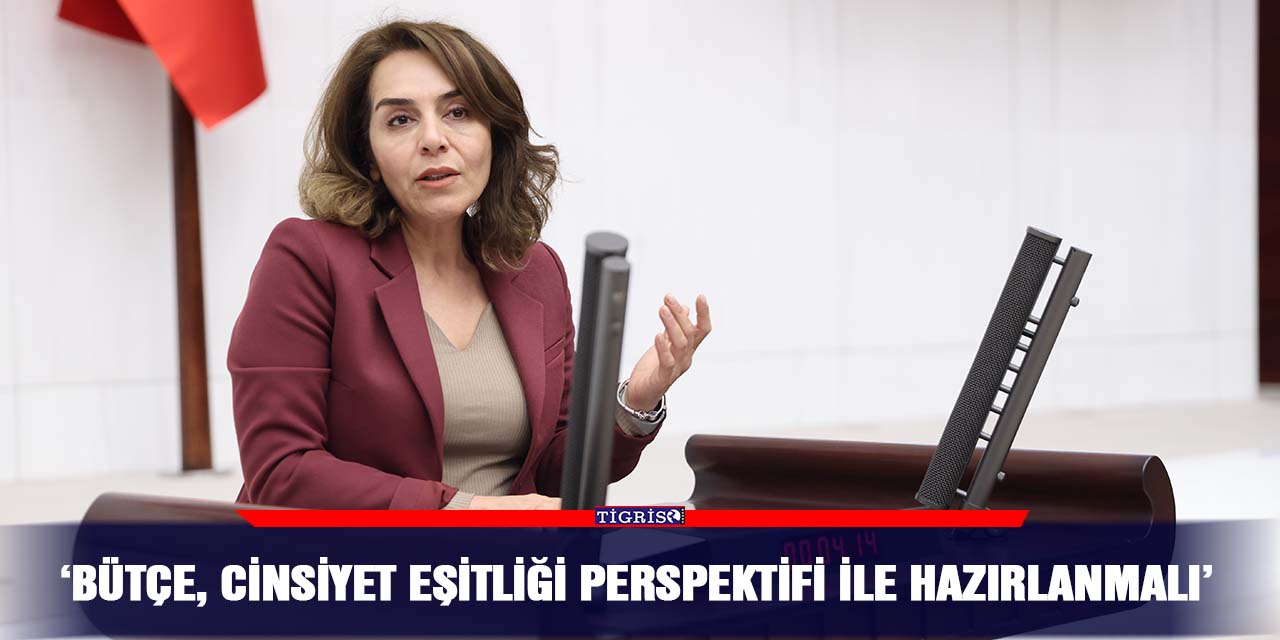 ‘Bütçe, cinsiyet eşitliği perspektifi ile hazırlanmalı’