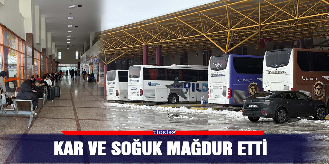 VİDEO - Kar ve soğuk mağdur etti