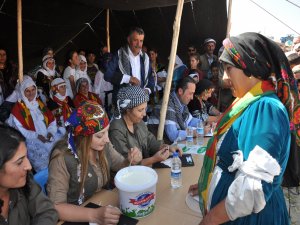 Kuzular kırpıldı, yoğurtlar mayalandı, en iyiler yarıştı