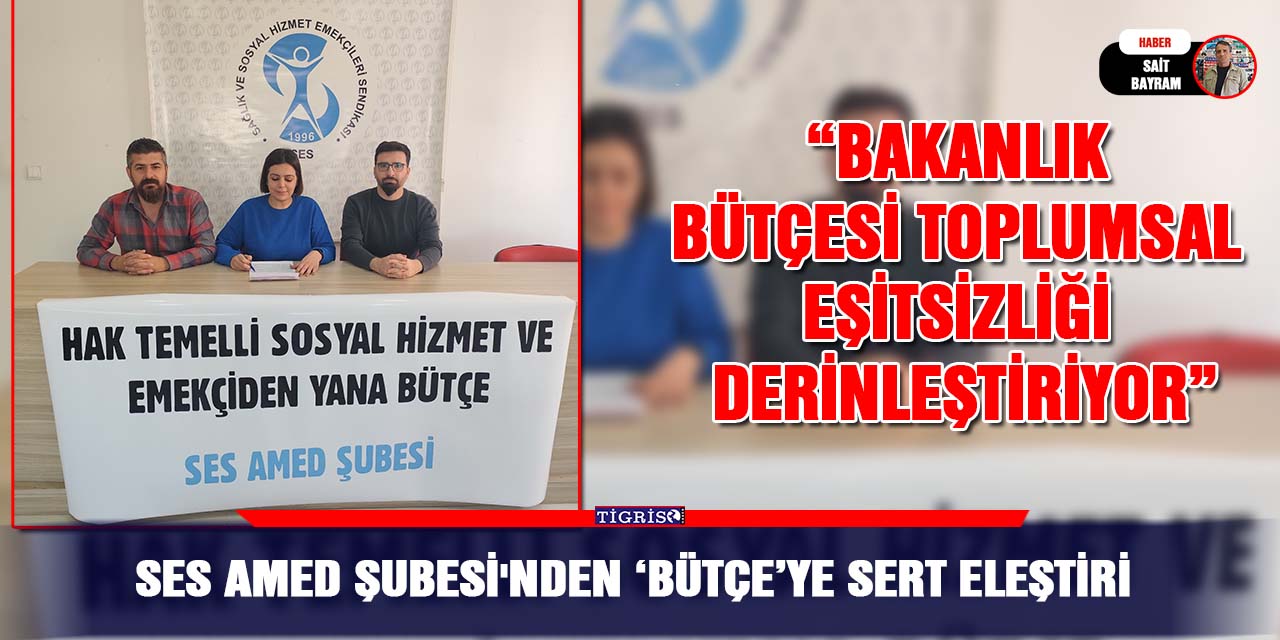 SES Amed Şubesi'nden ‘Bütçe’ye sert eleştiri