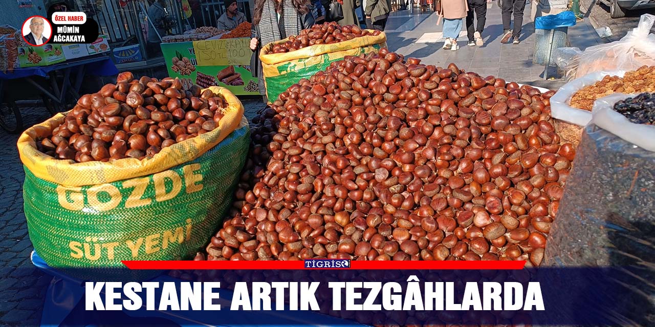 KESTANE ARTIK TEZGÂHLARDA