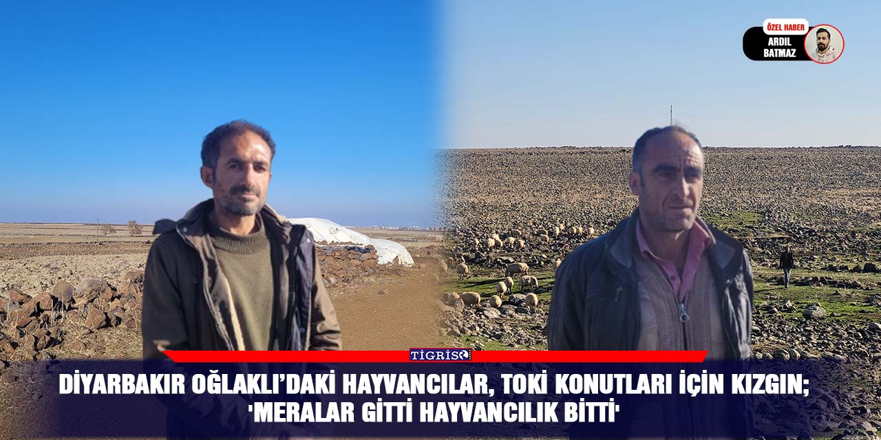 VİDEO - Diyarbakır Oğlaklı’daki hayvancılar, TOKİ konutları için kızgın; 'Meralar gitti hayvancılık bitti'