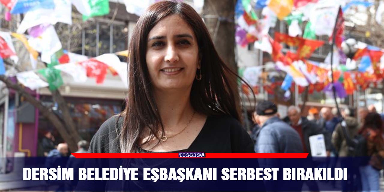 Dersim Belediye Eşbaşkanı serbest bırakıldı