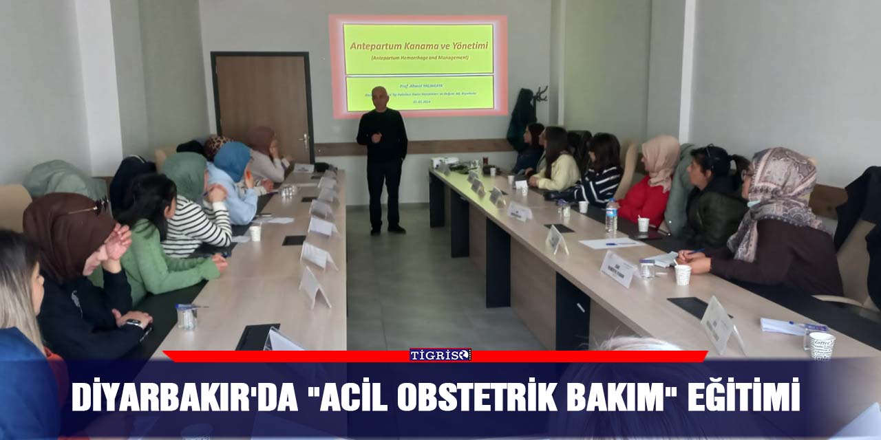 Diyarbakır'da "Acil Obstetrik Bakım" eğitimi