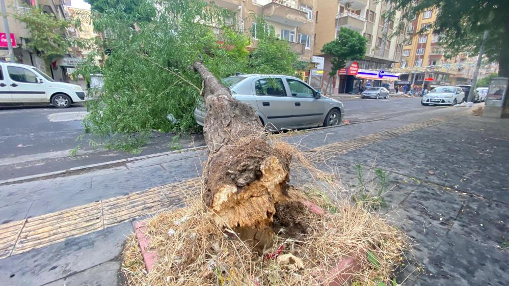 Diyarbakır’da etkili olan fırtına zor anlar yaşattı