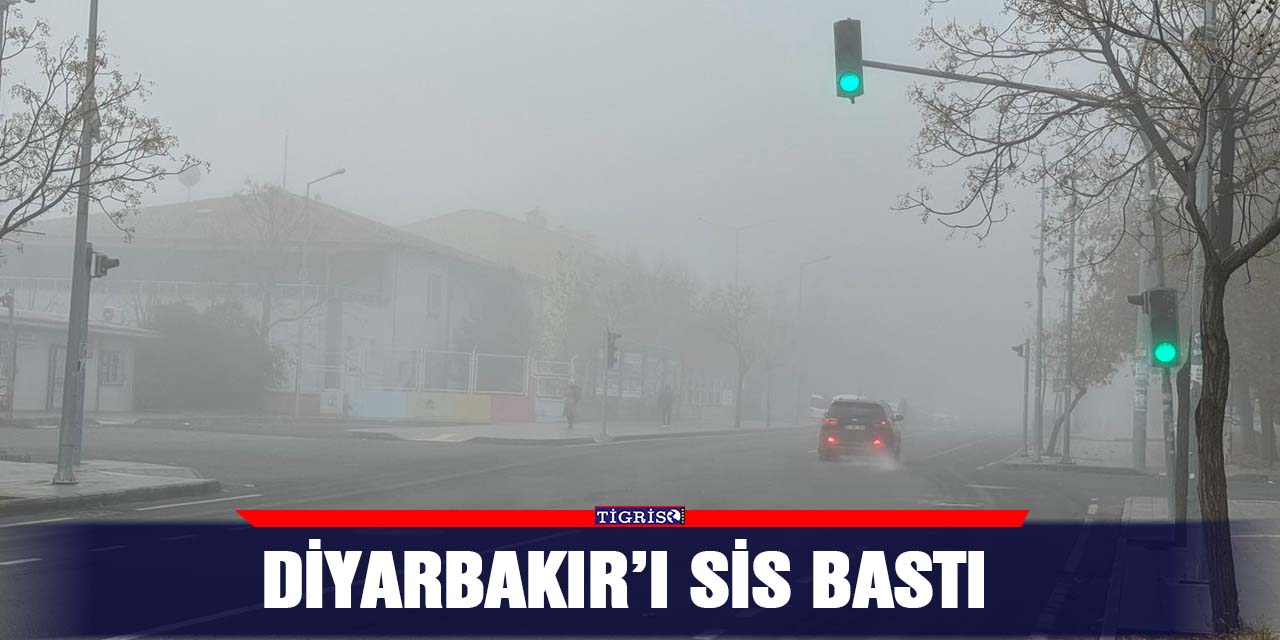 VİDEO - Diyarbakır’da ulaşıma sis engeli