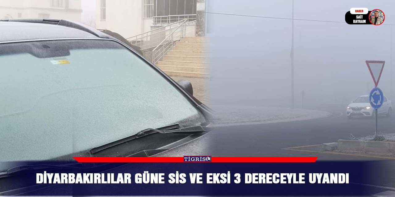 VİDEO - Diyarbakırlılar güne sis ve eksi 3 dereceyle uyandı