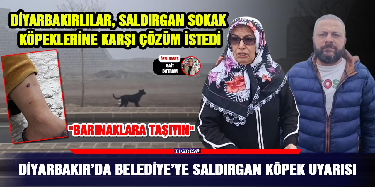 VİDEO - Diyarbakır’da Belediye’ye saldırgan köpek uyarısı