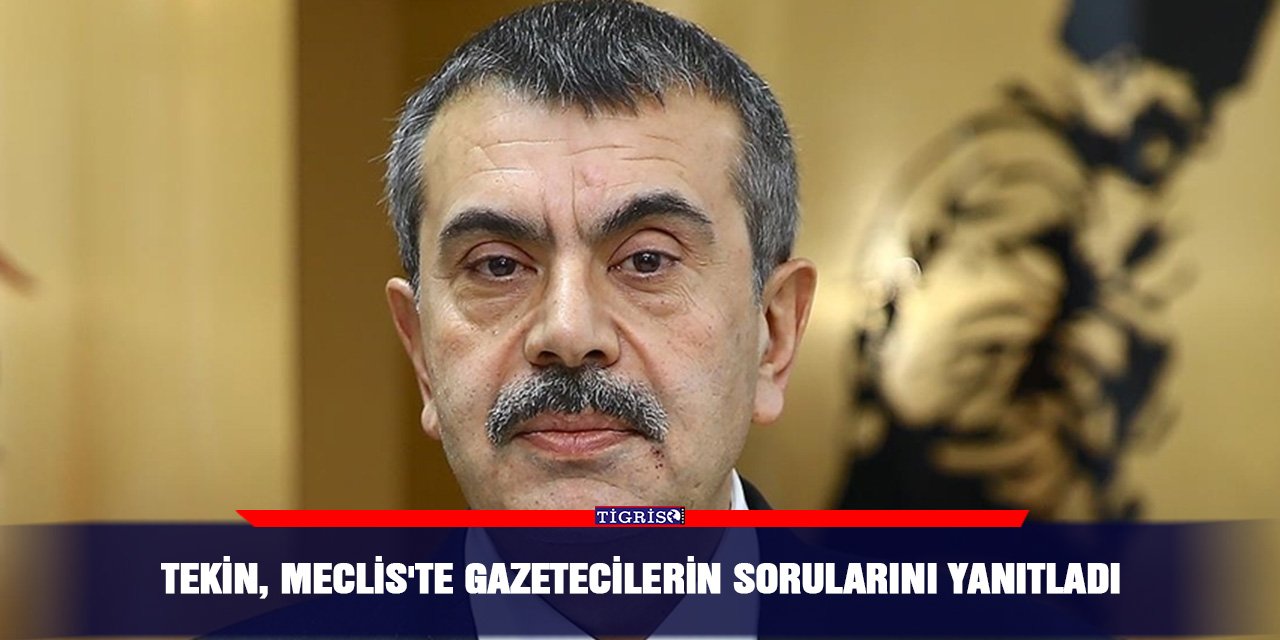 Tekin, Meclis'te gazetecilerin sorularını yanıtladı