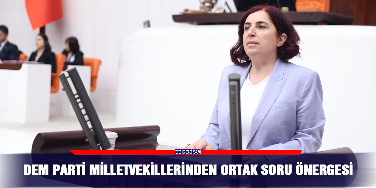 DEM Parti Milletvekillerinden ortak soru önergesi