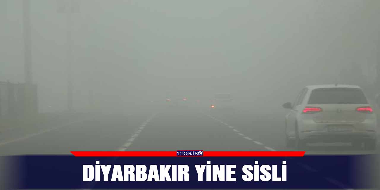 VİDEO - Diyarbakır yine sisli