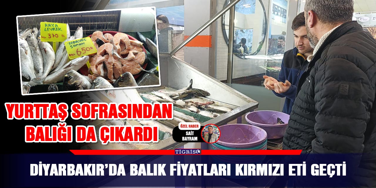 Diyarbakır’da balık fiyatları kırmızı eti geçti