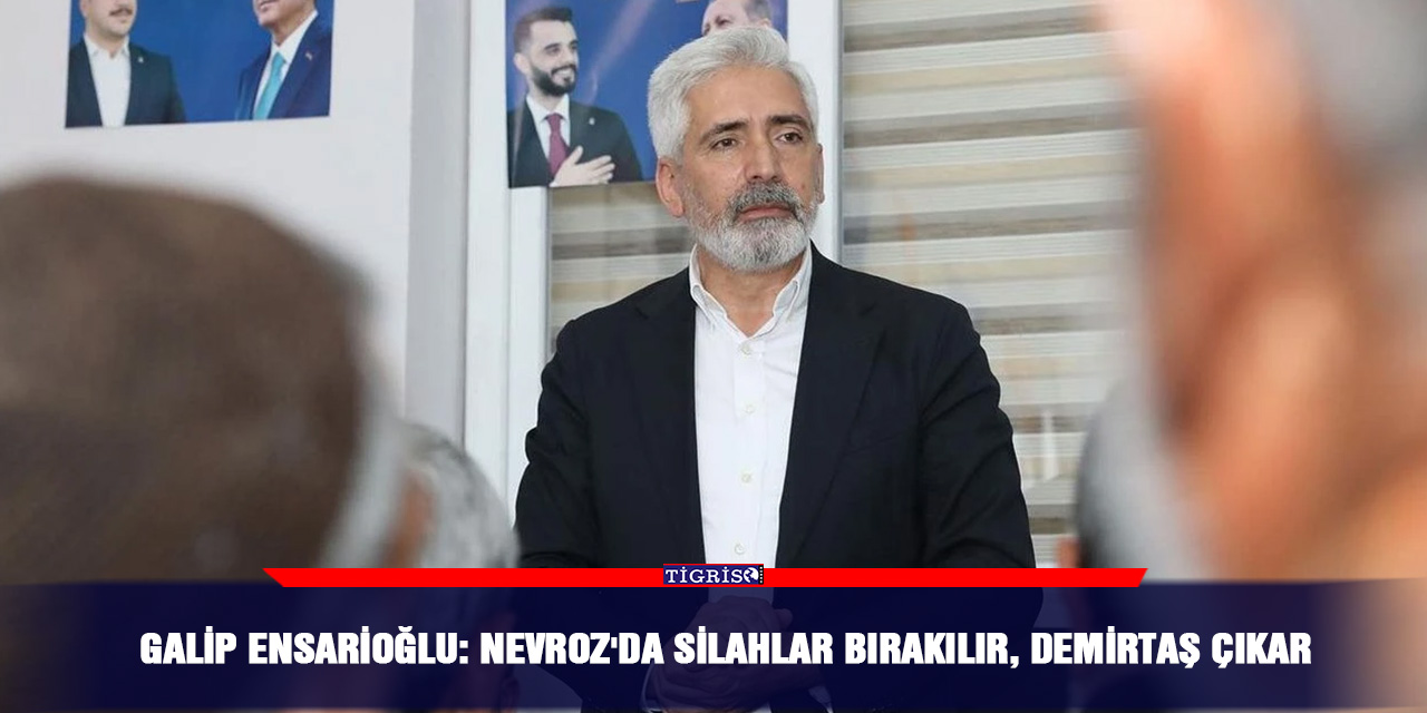 Galip Ensarioğlu: Nevroz'da silahlar bırakılır, Demirtaş çıkar