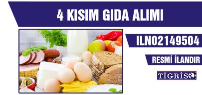 4 KISIM GIDA ALIMI