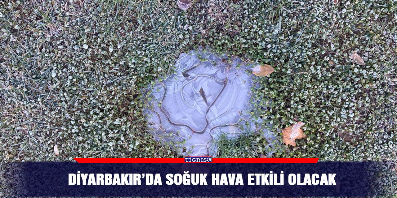 Diyarbakır’da Soğuk Hava Etkili olacak