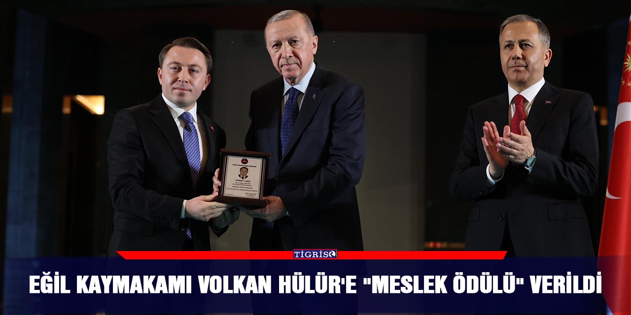 Eğil Kaymakamı Volkan Hülür'e "meslek ödülü" verildi