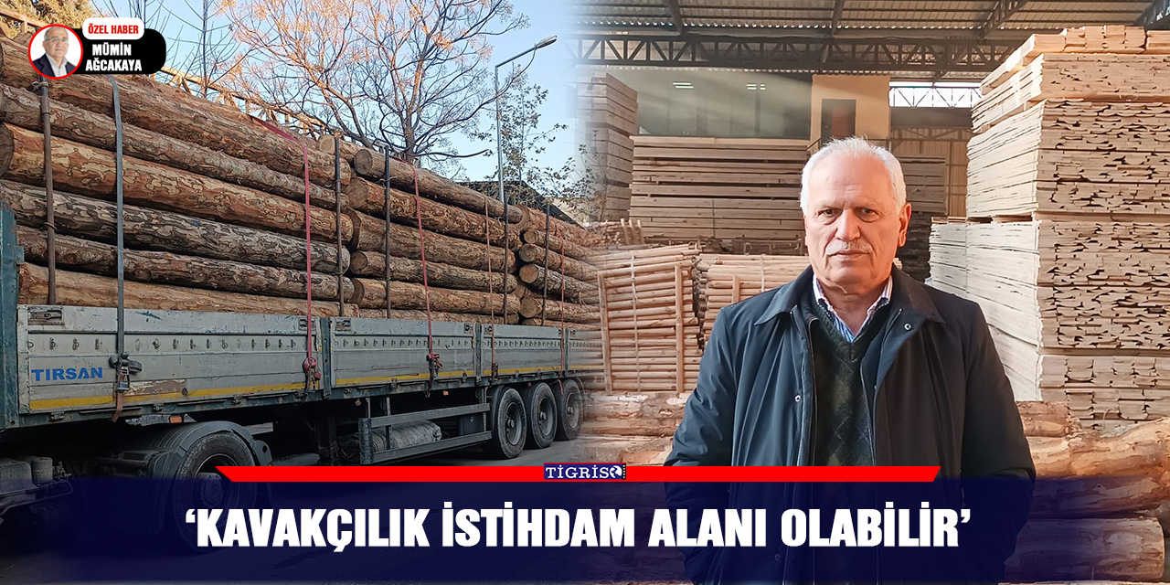 ‘Kavakçılık istihdam alanı olabilir’