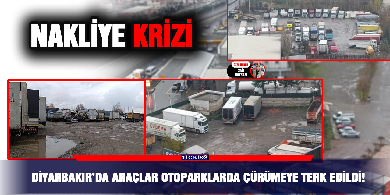 VİDEO - Diyarbakır’da araçlar otoparklarda çürümeye terk edildi!