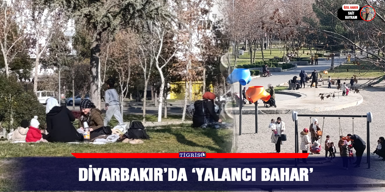 VİDEO - Diyarbakır’da ‘yalancı bahar’