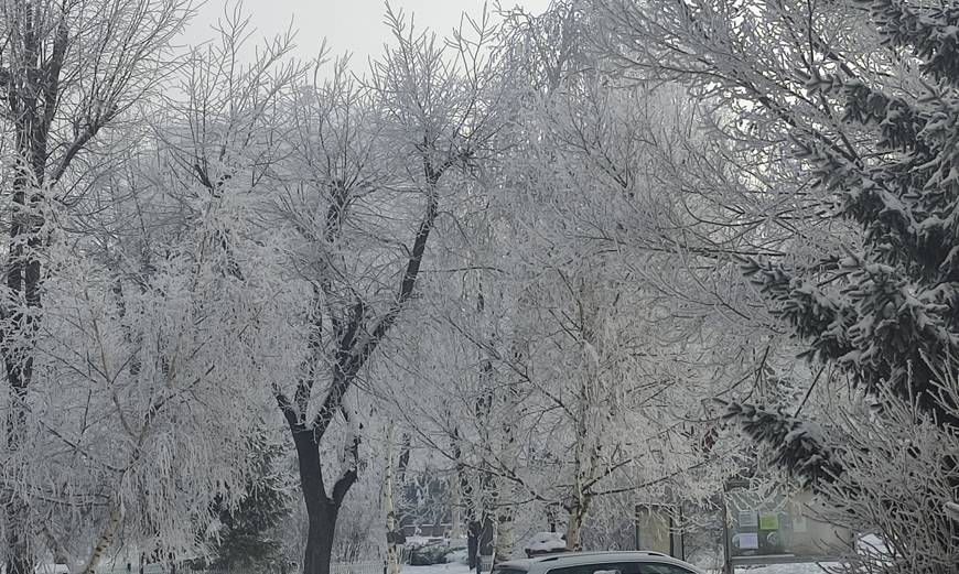 Ardahan'da Sibirya soğukları etkili oluyor