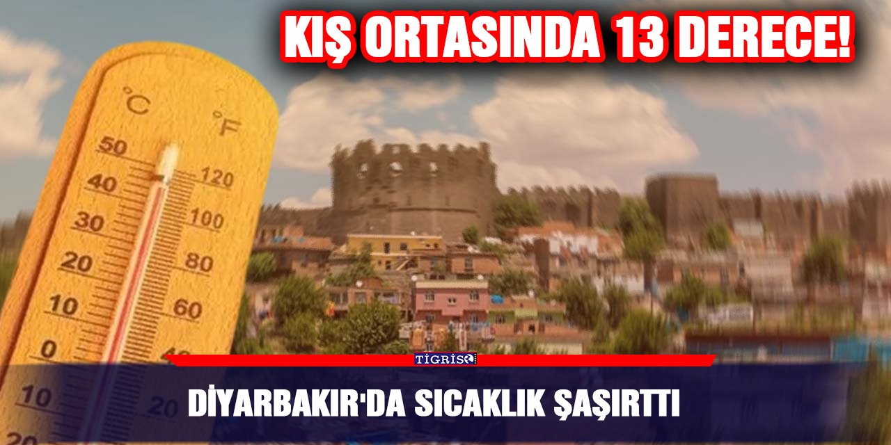 Diyarbakır'da Sıcaklık Şaşırttı