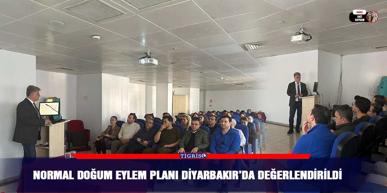 Normal Doğum Eylem Planı Diyarbakır’da değerlendirildi