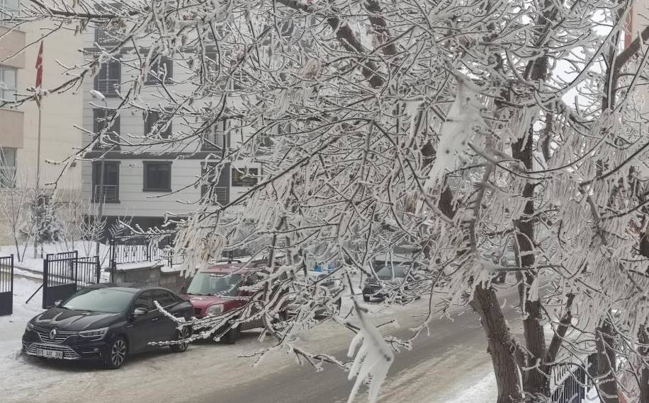 Ardahan'da Sibirya soğukları etkili oluyor