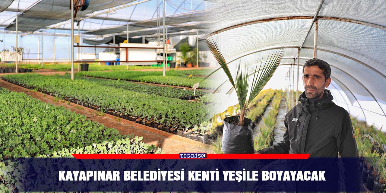 Kayapınar Belediyesi kenti yeşile boyayacak