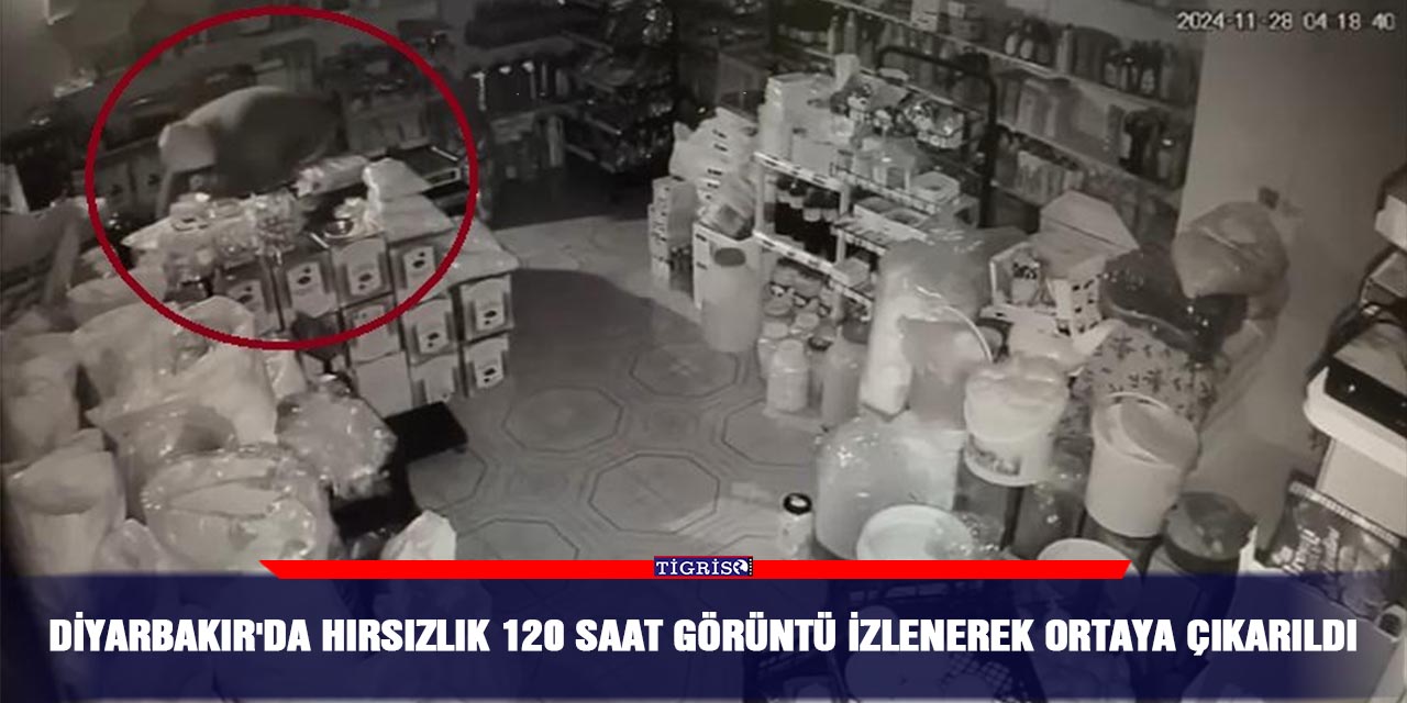 VİDEO - Diyarbakır'da hırsızlık 120 saat görüntü izlenerek ortaya çıkarıldı