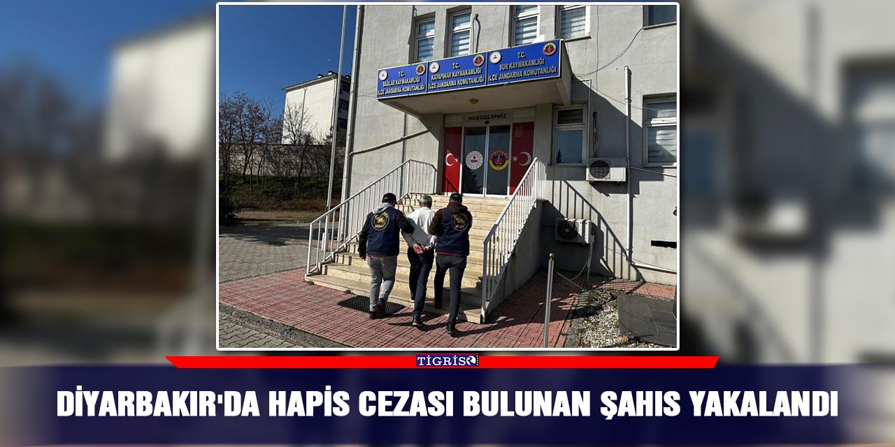 Diyarbakır'da hapis cezası bulunan şahıs yakalandı