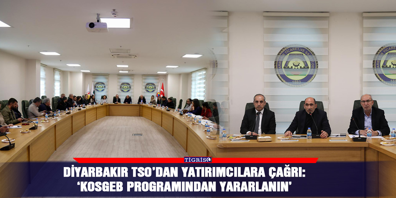 Diyarbakır TSO’dan yatırımcılara çağrı: ‘KOSGEB programından yararlanın’