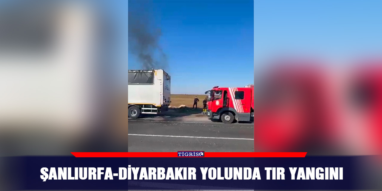 Şanlıurfa-Diyarbakır yolunda tır yangını