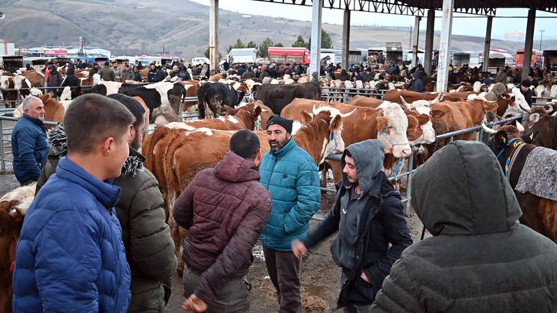 Şap hastalığı: Bir canlı hayvan pazarı daha kapatıldı