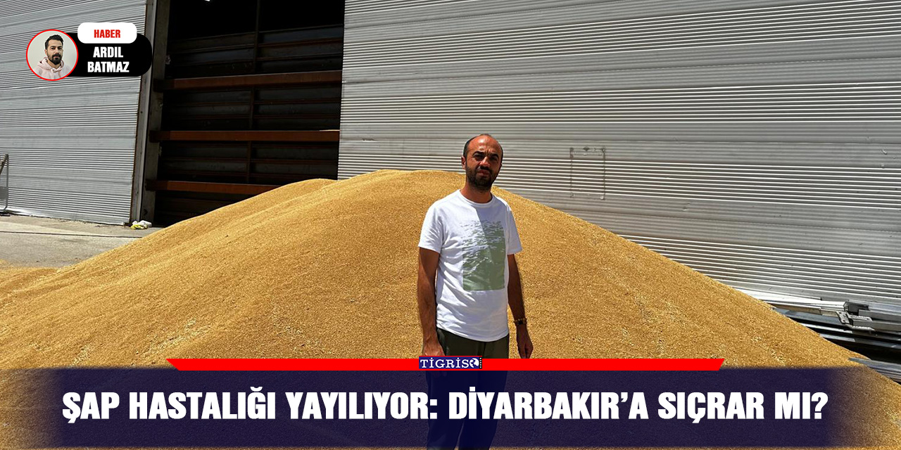 Şap hastalığı yayılıyor: Diyarbakır’a sıçrar mı?