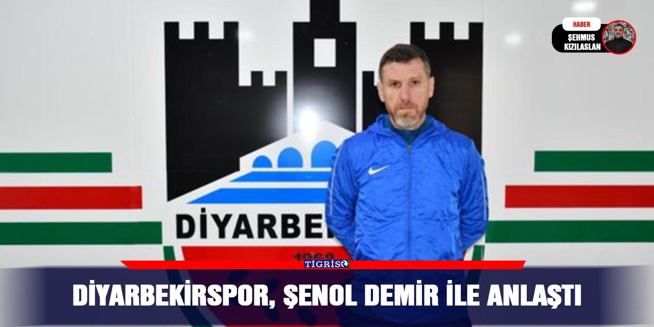 Diyarbekirspor, Şenol Demir ile anlaştı