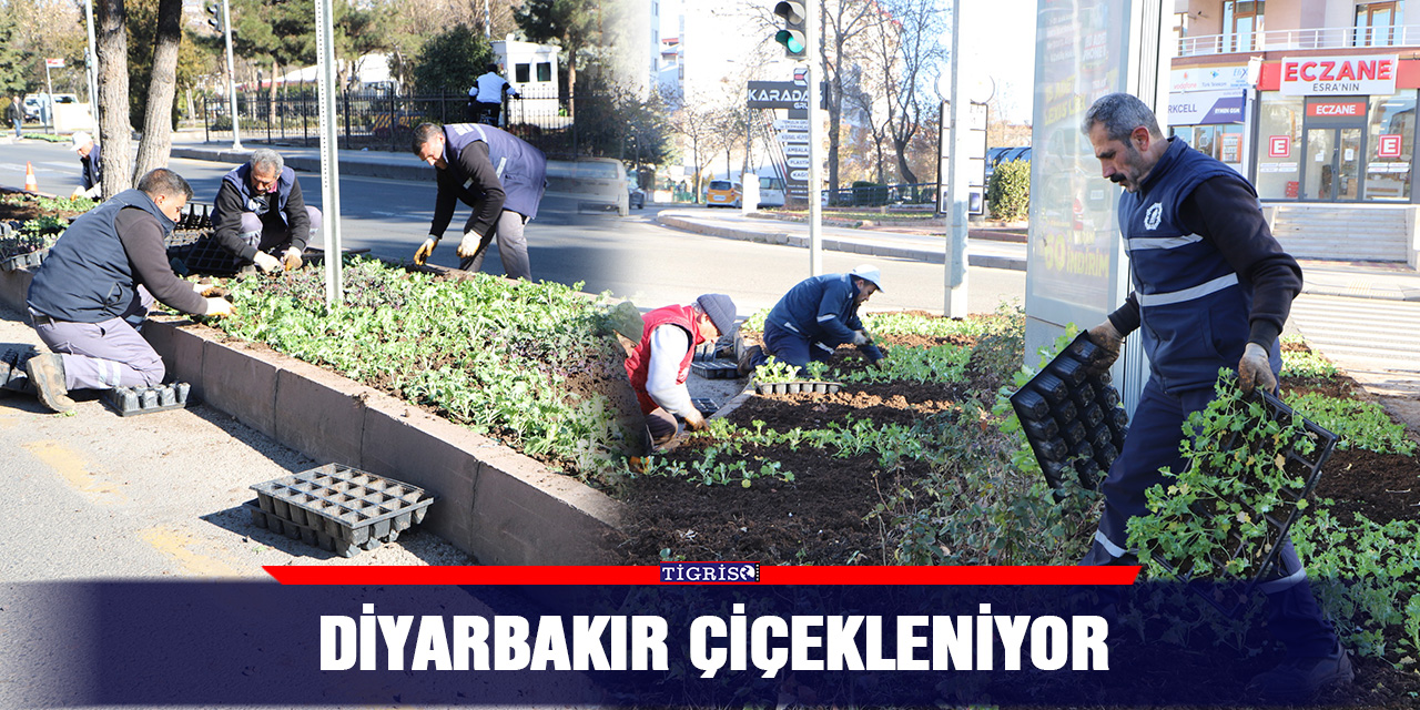 Diyarbakır çiçekleniyor