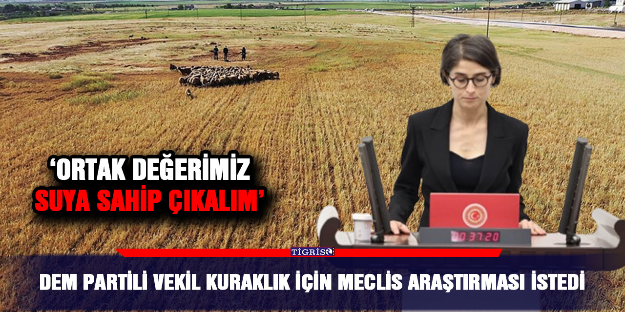 DEM Partili vekil kuraklık için Meclis araştırması istedi