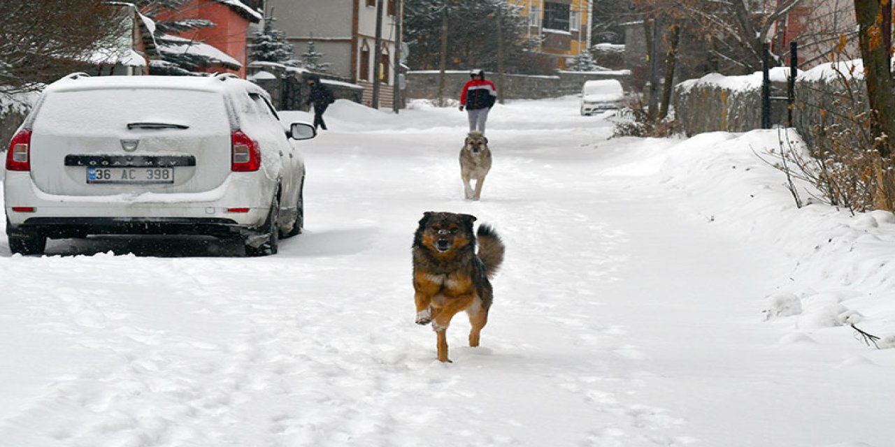 Erzurum, Kars ve Ardahan beyaza büründü