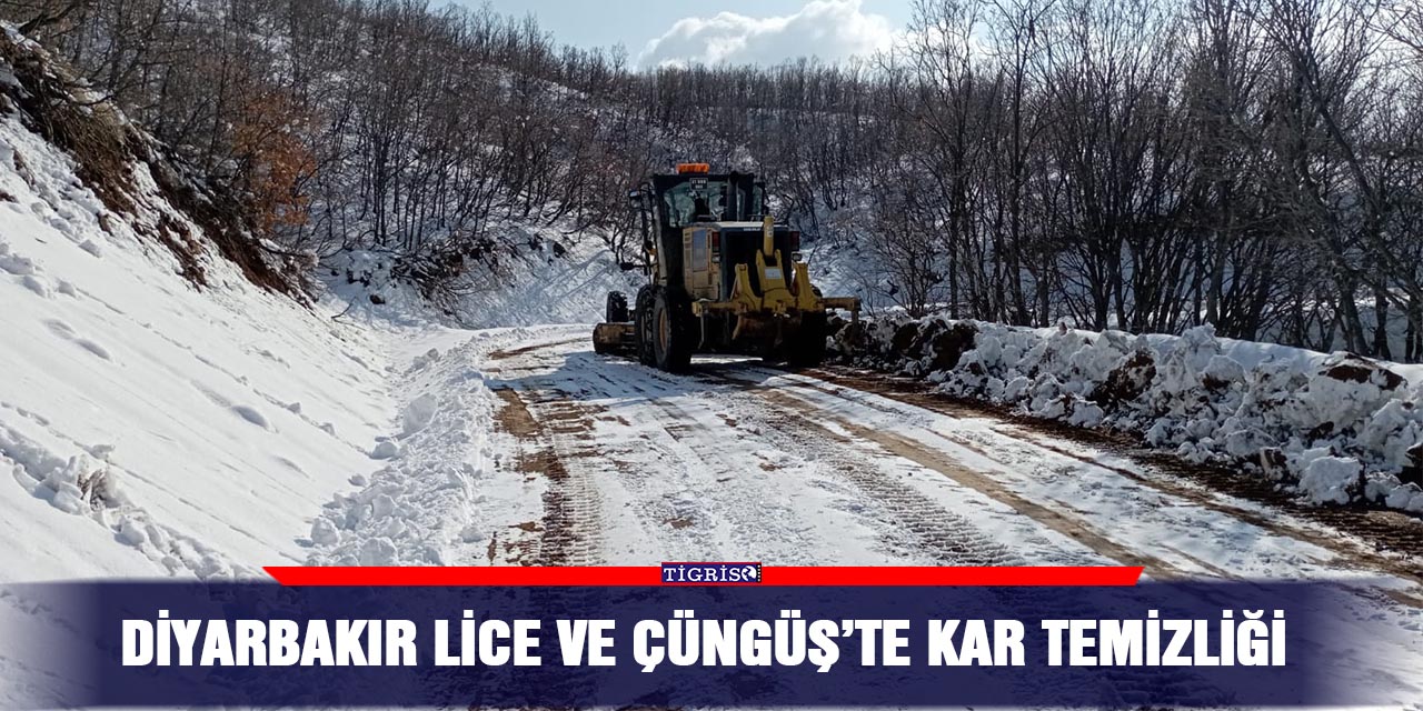 Diyarbakır Lice ve Çüngüş’te kar temizliği