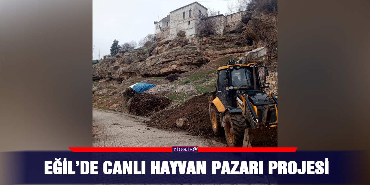 Eğil’de canlı hayvan pazarı projesi