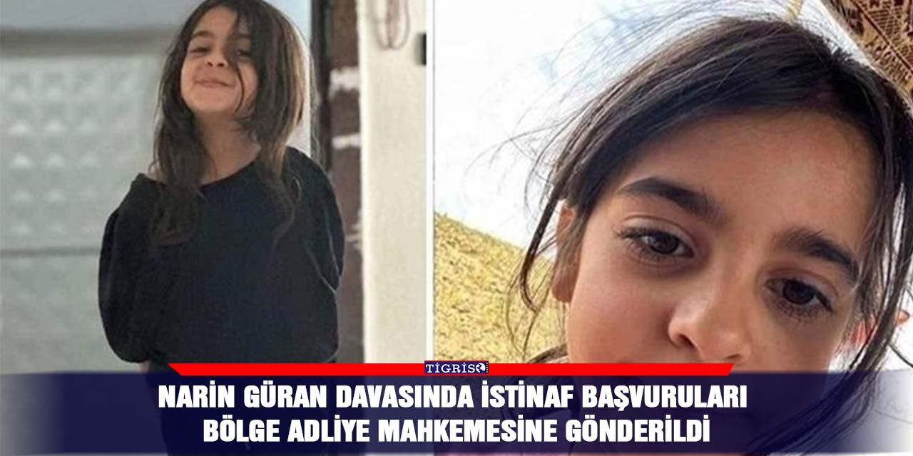 Narin Güran davasında İstinaf Başvuruları Bölge Adliye Mahkemesine gönderildi