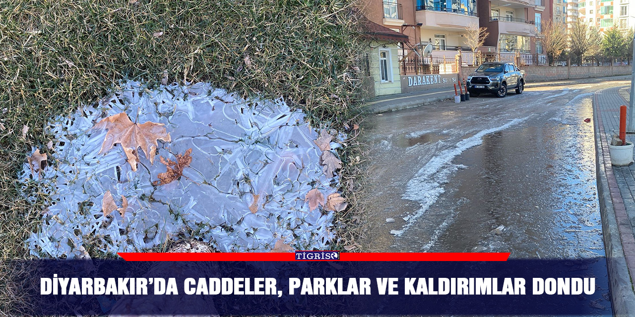 Diyarbakır’da caddeler, parklar ve kaldırımlar dondu