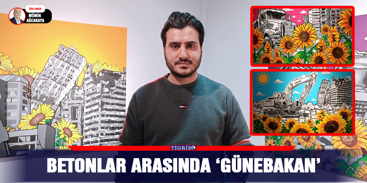 VİDEO - BETONLAR ARASINDA ‘GÜNEBAKAN’