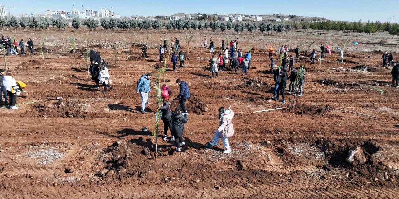 Diyarbakırlı gençler geleceği kuruyor