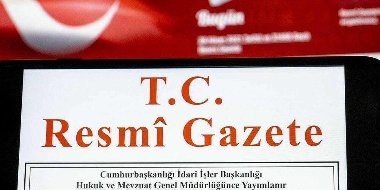 Resmi Gazete'de yayımlandı: Cumhurbaşkanına yeni başdanışman