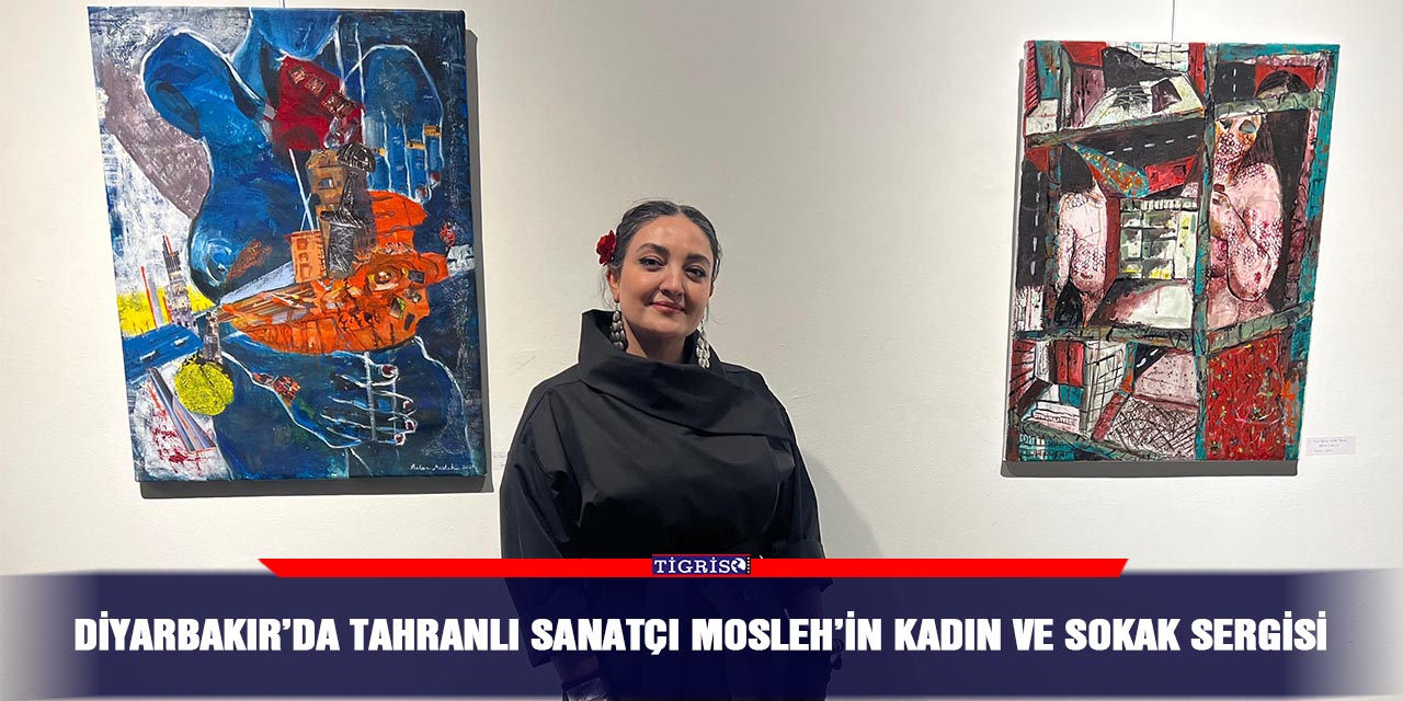 Diyarbakır’da Tahranlı sanatçı Mosleh’in kadın ve sokak sergisi