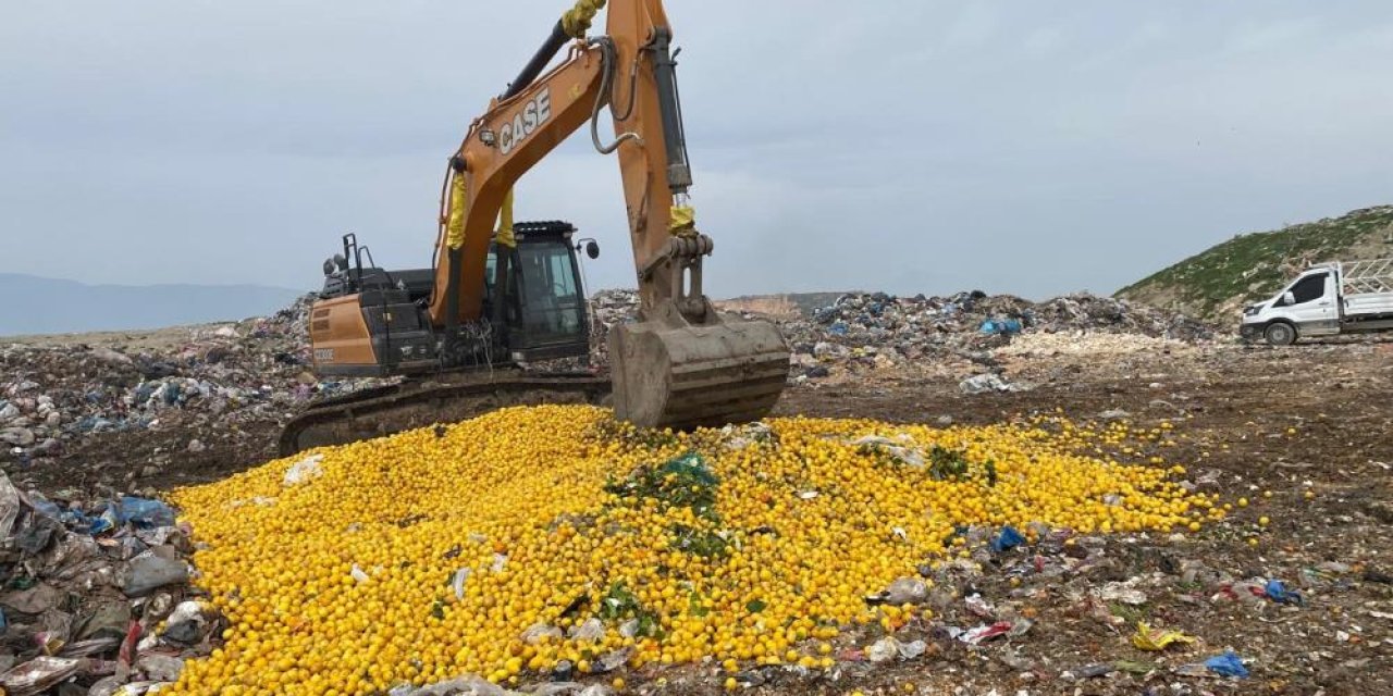 İhracat Krizi: Dubai’ye Giden Limonlar Geçemedi