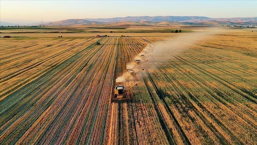 Kırsal kalkınmaya 8,6 milyar liralık hibe desteği